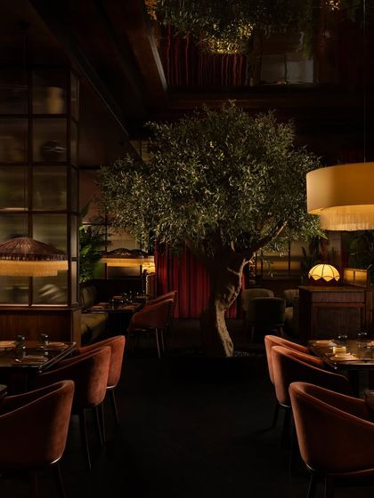 Hikki: A Symphony of Amber and Olive photo 7