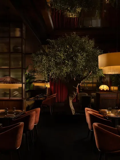 A wider view of the dining room, showing how the central olive tree anchors the space and creates a natural canopy for diners.