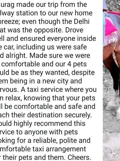 A wonderful review from a family I helped relocate with their four pets. Knowing they felt relaxed and that their pets were safe is the best feedback I can get.