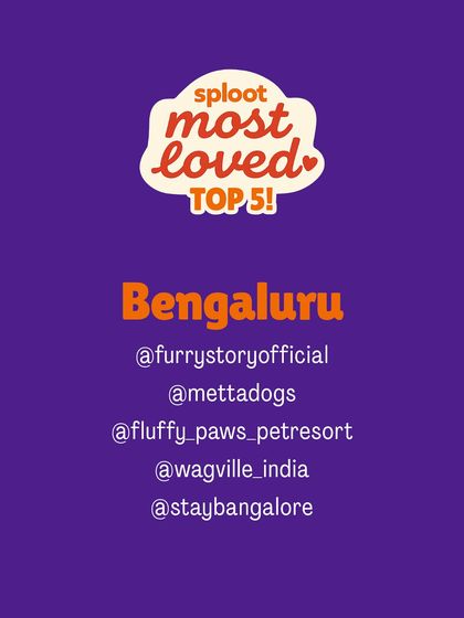 Presenting the results for Bengaluru! This is the 'Sploot Most Loved' Top 5 list for dog boarding, as chosen by the pet parents in our community. These are the names you can trust.