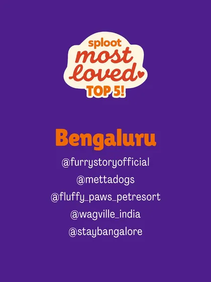 Presenting the results for Bengaluru! This is the 'Sploot Most Loved' Top 5 list for dog boarding, as chosen by the pet parents in our community. These are the names you can trust.
