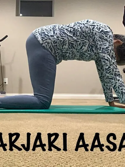 Here is another view of the Marjari Asan, a pose we will practice often whether you join me online or in the studio. Listening to your body is the most important part of our practice together.