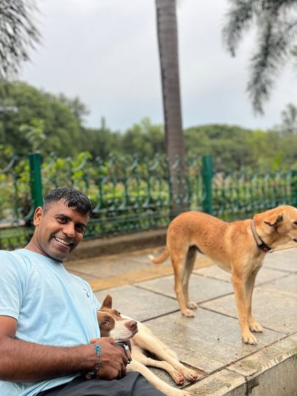 Road To Trail Club - Road Running Coaching (10k to Marathon) Our Pack: The Dog-Friendly Running Club photo 28