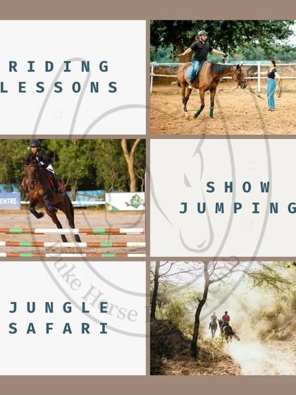 Additional Media photo 5