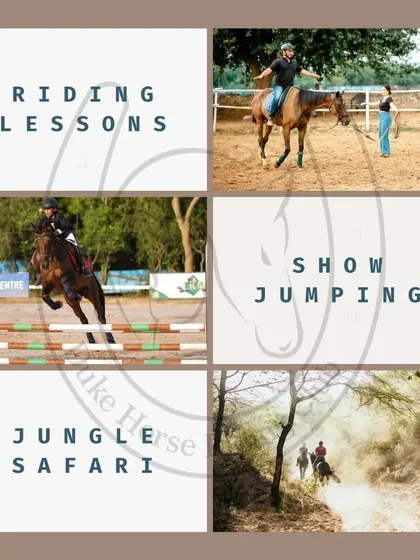 We offer a range of equestrian activities. This graphic provides a quick overview of our main services, including beginner riding lessons, advanced show jumping, and our signature jungle safaris.