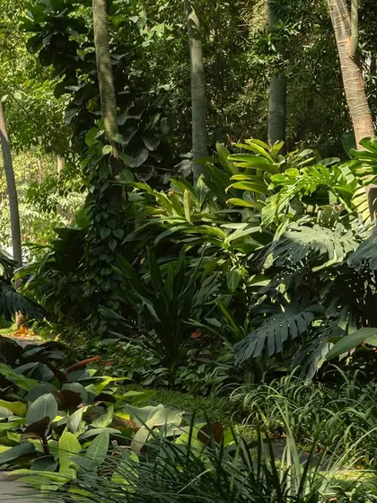 A dense, jungle-like garden with a narrow water channel and fountains. The sound and sight of water enhance the feeling of being in a cool, natural oasis.