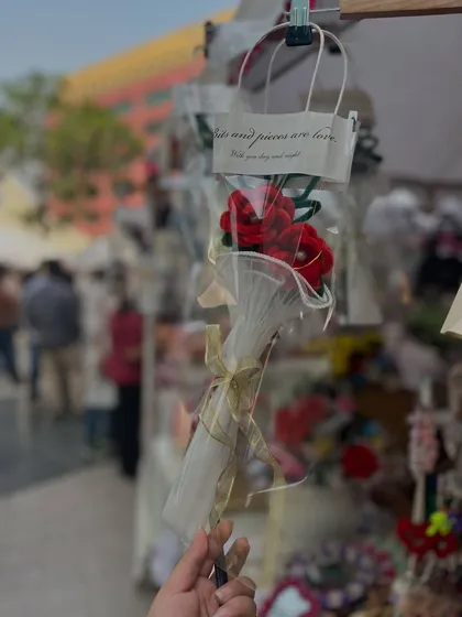 A single red rose, packaged in a clear bag with a ribbon. It's a perfect small token of affection that will last forever.