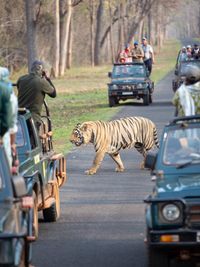 Wildlife & Nature Photography