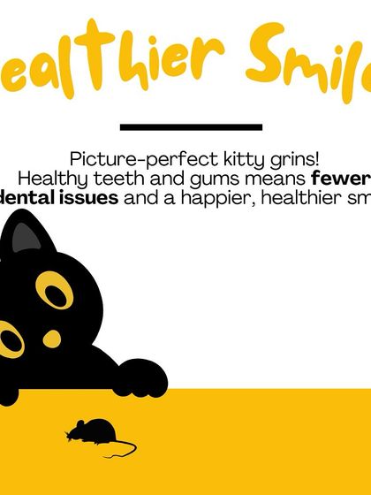 Oh My Dawg - Pet Supplies Grooming & Hygiene photo 10