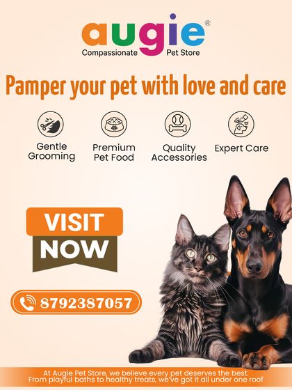 Augie Pets - Pet Grooming Services A Look Inside Our Pet Spa photo 6