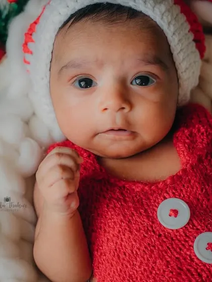 This little helper is looking right at the camera, ready to spread some holiday cheer.