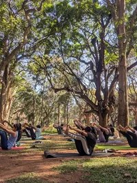 Outdoor Group Yoga