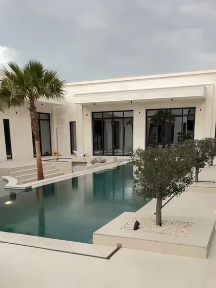 Here, we've used minimalist planting to enhance a modern pool area. A single palm tree and a small olive tree in raised planters add a touch of nature without cluttering the clean, architectural lines of the space.