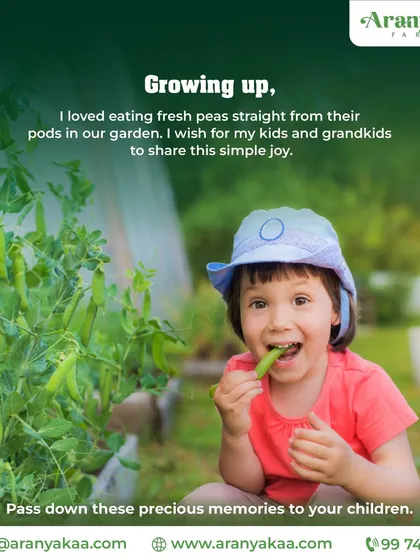 Remember the simple joy of eating fresh peas from the garden? We help you pass down these precious memories to your children and grandchildren, creating a legacy of connection to food and nature.