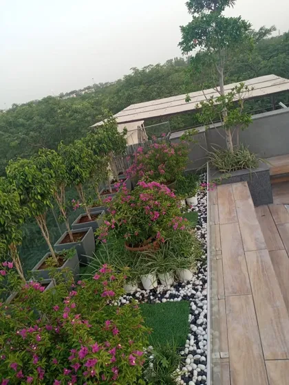 This terrace in GK1 uses layered planting to create depth. I combined rows of ficus trees, flowering bougainvillea, and low-lying plants with decorative pebbles and artificial turf for a rich, textured look.