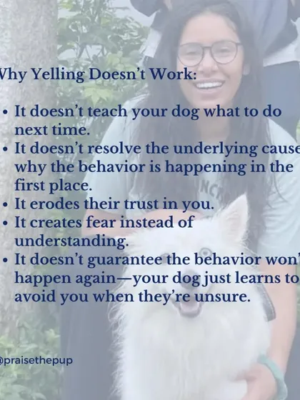 Yelling is ineffective because it doesn't teach your dog what to do instead, it doesn't resolve the root cause of the behavior, and it creates fear. A positive approach builds trust and guarantees better long-term results.