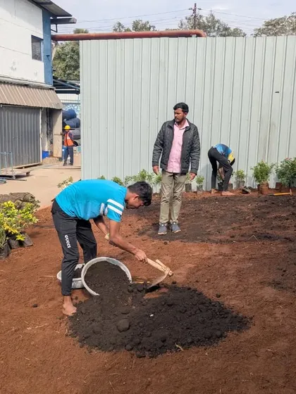 We enrich the native red soil by mixing in nutrient-rich compost before any planting or lawn work begins.
