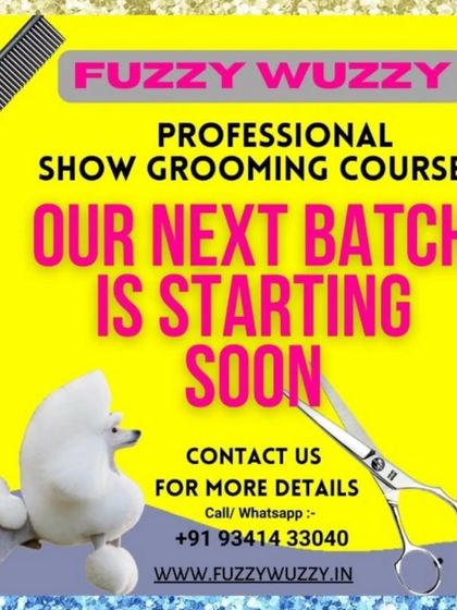 Fuzzy Wuzzy - Pet Grooming Academy & Workshops Professional Grooming Courses photo 5