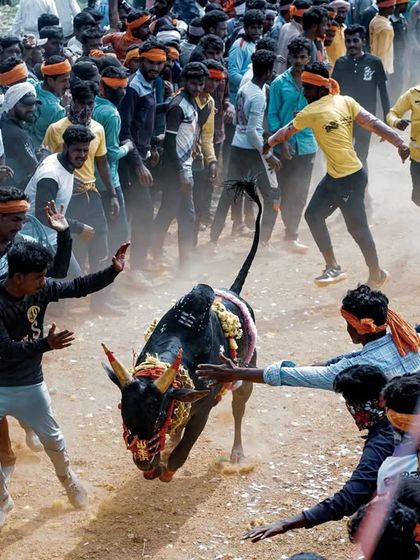 Hattihabba: The Heart of the Village Festival photo 8