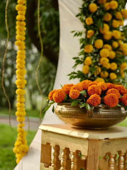 A classic Haldi decor element featuring a brass urli filled with orange marigolds, placed on a golden stool. In the background, hanging floral strings and a white drape complete the festive scene.