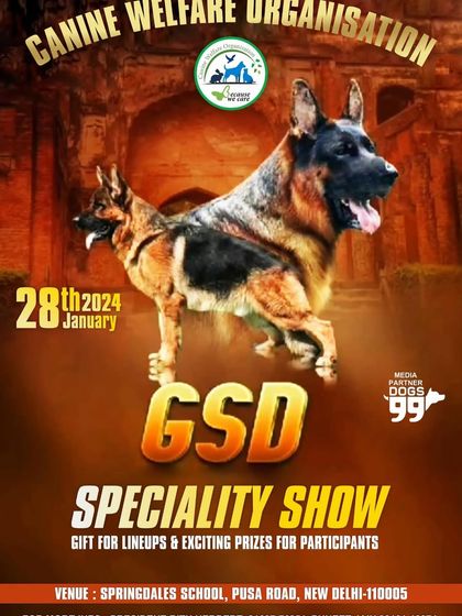 As event partners for the Canine Welfare Organisation's Pet Carnival, we supported a great day of activities including a GSD specialty show, a pet fashion show, and an all-breed dog show.