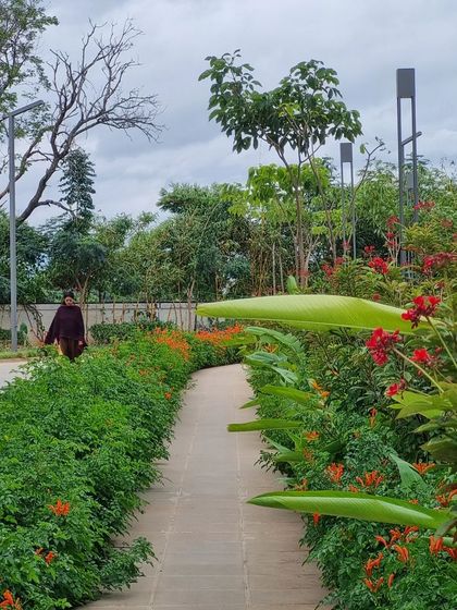 A simple path winds through a residential garden, bordered by lush hedges and vibrant flowering plants. This design creates an immersive experience, making a short walk feel like a journey through a blooming landscape.