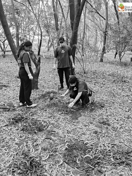 These black and white images are from our #greyweekwithpeepalbaba campaign, designed to draw sharp focus on the serious issues of environmental degradation and the people working to combat it. They highlight our plantation drives with partners like Northern Trust and EXL.