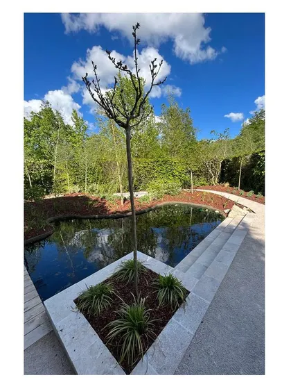 A solitary tree is planted as a sculptural element near the water's edge, its form reflected in the still surface of the pond. This composition of stone, water, and plant life creates a focal point of serene beauty.