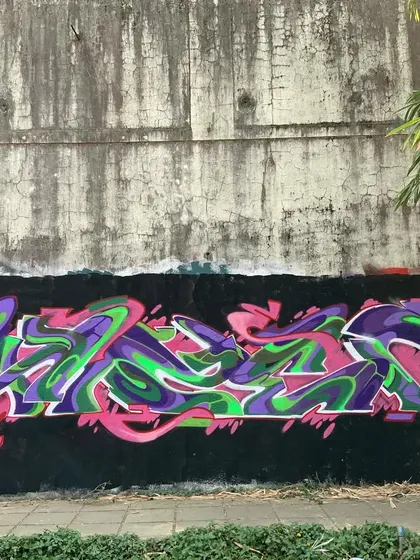 The full view of the purple and green wildstyle piece on a raw, weathered wall. The contrast between the vibrant art and the decaying surface is part of the beauty of street graffiti.