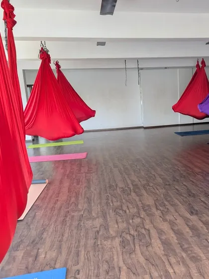 Our studio, ready for an aerial yoga class. The colorful hammocks hang waiting to support, challenge, and inspire our students.
