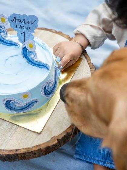 A close-up of tiny fingers and a curious nose. This shot captures the moment baby Aariv and Ollie the Golden Retriever both investigate the birthday cake.