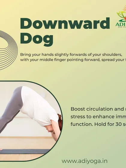 Downward Dog is excellent for boosting circulation and reducing stress, both of which enhance immune function. Holding it for just 30 seconds can make a difference.