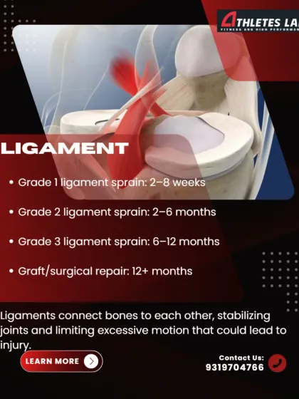 Ligaments provide joint stability, and their healing time varies significantly with the severity of the sprain. A mild Grade 1 sprain may take 2-8 weeks, while a full Grade 3 tear or surgical repair can take 6-12 months or more.