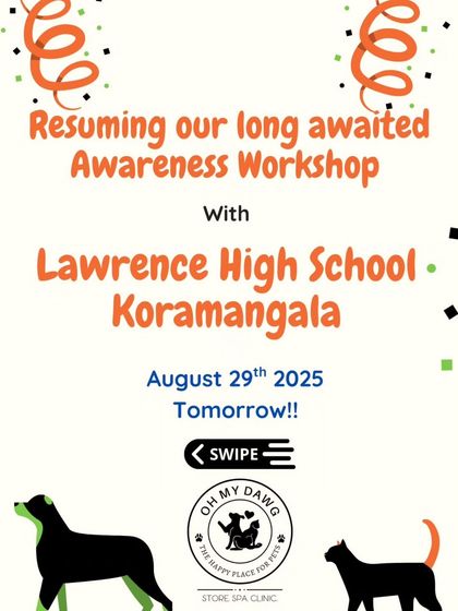 Oh My Dawg - Animal Welfare & Adoption Services Compassion in the Classroom: Our School Workshops photo 12