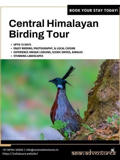 Himalayan Expeditions: Birds & Snow Leopards photo 18