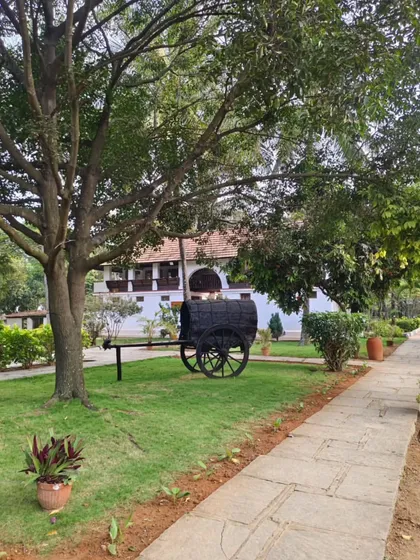 Another view of the antique bullock cart, nestled under the trees. This piece of history reminds us of a simpler, more sustainable way of life, in harmony with the principles of Ayurveda.