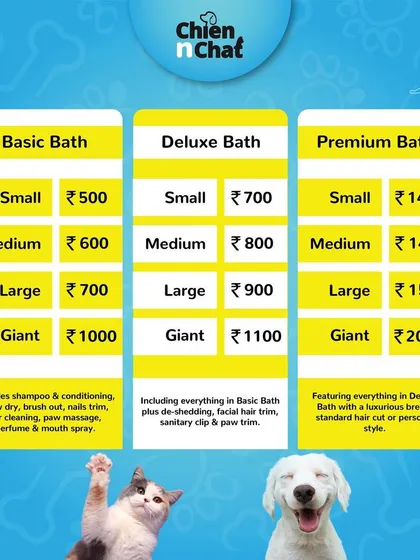 Our spa menu includes Basic, Deluxe, and Premium bath packages for all sizes, from small to giant breeds.