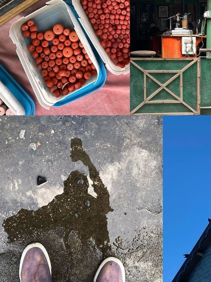 A moody collage featuring my own shadow, red berries, and a green wooden stall.