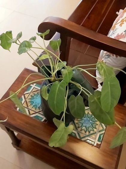 CustHum - Custom Furniture & Cabinetry Elegant Living Spaces photo 33