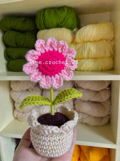 A single, vibrant pink and magenta potted daisy held up against my yarn shelf.
