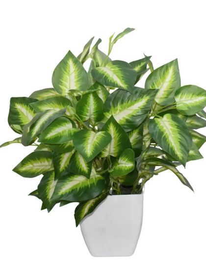 This is a lush, artificial dieffenbachia plant. The variegated leaves with their distinct patterns look very realistic and help to create a full, leafy appearance.