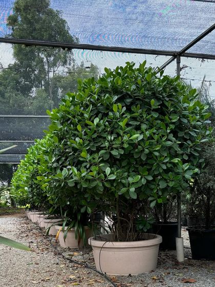 Additional Work photo 3