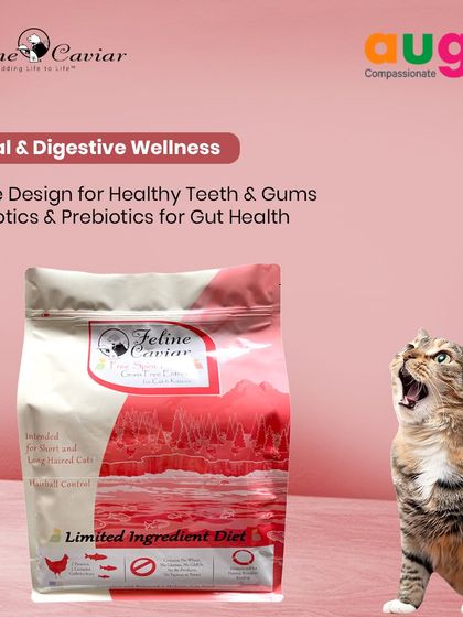 Augie Pets - Pet Supplies For Our Feline Friends: Premium Cat Nutrition photo 6