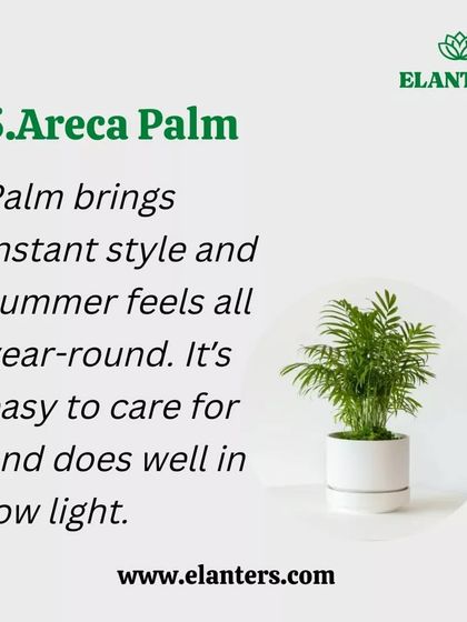 Plant Care Tips & Supplies photo 14