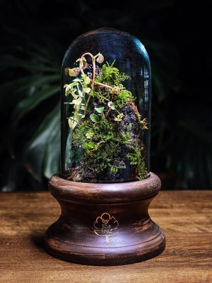 Glass Dome & Cloche Terrariums photo 21