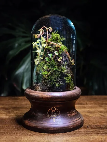 This "Life In A Dome" terrarium features a custom dark-stained wooden base. The design showcases how I can tailor pieces to match specific decor styles, like the furniture at the Taj Hotel lounge.