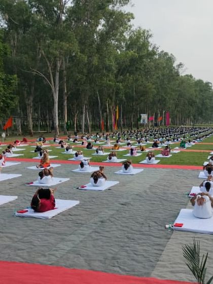 Hundreds of participants practicing Bhujangasana (Cobra Pose) in unison. This photo captures the incredible energy and collective harmony of our large-scale International Yoga Day event.