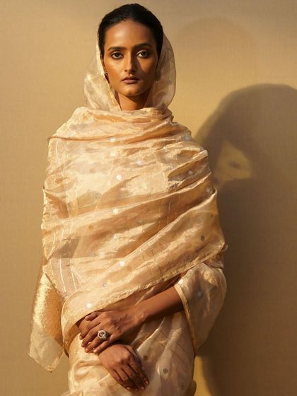 The Art of the Saree photo 26