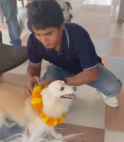 Therpup - Pet-Friendly Cafe & Restaurant Paw-ties & Celebrations photo 23