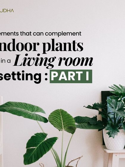 Paudha - Commercial Biophilic & Interior Design Signature Design Elements photo 16